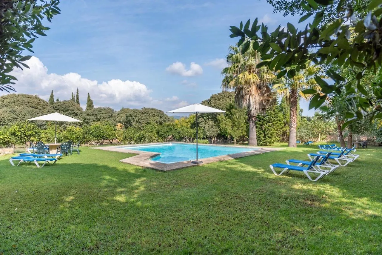 Guest house Son Vivot - Doble Con Salon